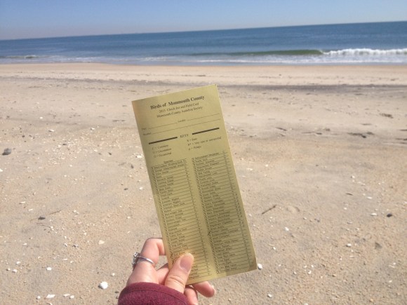 Birds of Monmouth County Checklist